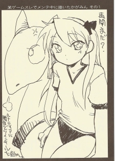 (C73) [Shinobi no Yakata (Iwama Yoshiki)] JEWEL BOX DECADENT-GRAY (Lucky Star) - page 47