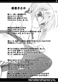 (C73) [MeroMeroFactory XL (Mochisuke Teru)] Someone Looking Like The Saber. (Fate/stay night) - page 2