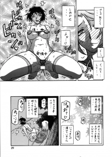 (C73) [Sankaku Apron (Sanbun Kyoden, Umu Rahi)] Akebi no Mi - Satomi Katei - page 28