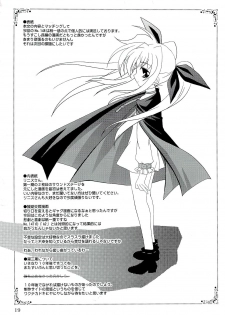 (SC34) [PLUM (Kanna)] Magical SEED BIND (Mahou Shoujo Lyrical Nanoha) - page 18
