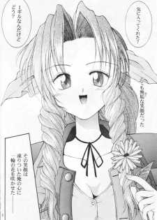 (CR27) [Hanamaru Mugen Gym (Hyoujun Mai)] Kodaishu no Musume (Final Fantasy VII) - page 5