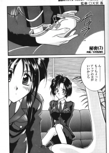 [LUCK&PLUCK! (Amanomiya Haruka) Himitsu/Gentei Issatsu (Ah! My Goddess, You're Under Arrest) - page 14