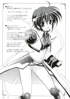 (COMIC1) [PLUM (Kanna)] Magical SEED CABAL (Mahou Shoujo Lyrical Nanoha) - page 27