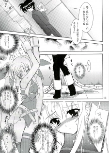 (COMIC1) [PLUM (Kanna)] Magical SEED CABAL (Mahou Shoujo Lyrical Nanoha) - page 12