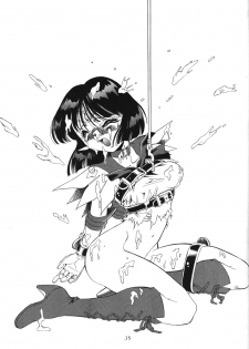(C51) [Thirty Saver Street 2D Shooting (Maki Hideto, Sawara Kazumitsu)] Silent Saturn 2 (Bishoujo Senshi Sailor Moon) - page 33