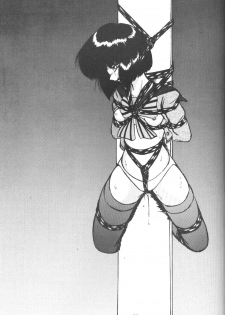 (C61) [Thirty Saver Street 2D Shooting (Maki Hideto, Sawara Kazumitsu)] Silent Saturn SS vol. 3 (Bishoujo Senshi Sailor Moon) - page 28