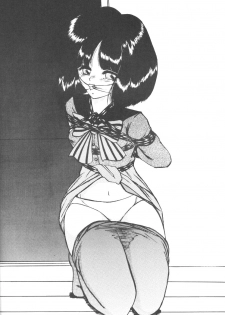 (C61) [Thirty Saver Street 2D Shooting (Maki Hideto, Sawara Kazumitsu)] Silent Saturn SS vol. 3 (Bishoujo Senshi Sailor Moon) - page 25