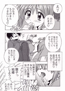 (C58) [Furaipan Daimaou (Chouchin Ankou)] Dengeki L's Magazine (Milky Season, Sister Princess) - page 12