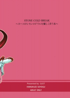(C72) [GUST (Harukaze Soyogu)] Stone Cold Break ~ Yoko ga Shimon no Drill o Yasashiku Ijiu Hon ~ (Tengen Toppa Gurren Lagann) - page 18