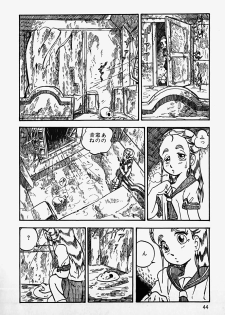 [Shinden Mako] The Riddle - page 46