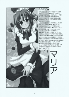 (C73) [RED RIBBON REVENGER (Makoushi, Taireru)] Maid-san tachi no Junan (Hayate no Gotoku!) - page 39