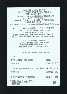 (C73) [RED RIBBON REVENGER (Makoushi, Taireru)] Maid-san tachi no Junan (Hayate no Gotoku!) - page 5