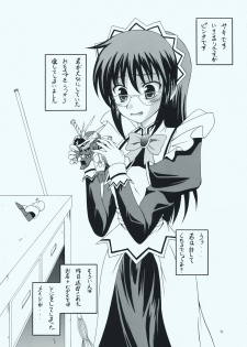 (C73) [RED RIBBON REVENGER (Makoushi, Taireru)] Maid-san tachi no Junan (Hayate no Gotoku!) - page 20