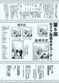 (C73) [RED RIBBON REVENGER (Makoushi, Taireru)] Maid-san tachi no Junan (Hayate no Gotoku!) - page 44