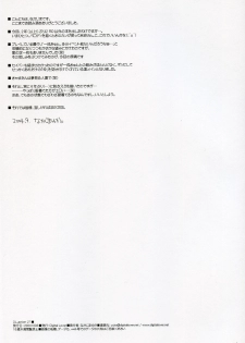 (CR36) [Digital Lover (Nakajima Yuka)] D.L. action 27 (Fate/Stay Night) - page 25