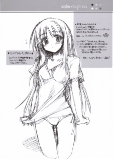 (SC31)[Alpha to Yukaina Nakamatachi] Rough Illust de Gomenasai - page 3