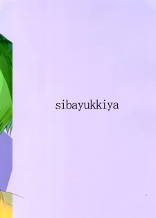 (C96) [Shibayukiya (Shibayuki)] Megane Kyonyuu ga Suki! (To LOVE-Ru, IS <Infinite Stratos>) - page 20