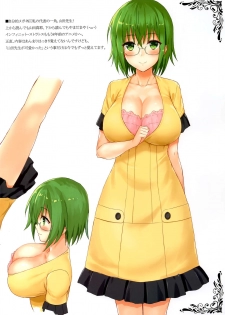 (C96) [Shibayukiya (Shibayuki)] Megane Kyonyuu ga Suki! (To LOVE-Ru, IS <Infinite Stratos>) - page 2