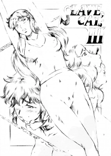 [Busou Megami (Kannaduki Kanna)] SLAVE CAT's III (Cat's Eye) [Chinese] [不咕鸟汉化组] - page 2