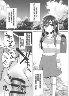 (COMIC1☆15) [Shimajiya (Shimaji)] Bin Bin Biyori (Non Non Biyori) [Chinese] [骑公主士摸鱼机翻] - page 4