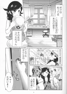 (C94) [Navy Garden (Nakahata Izuru)] Koumi o Dame ni Suru Cushion (Pokémon Ultra Sun and Ultra Moon) - page 3