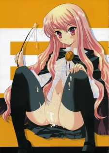 (SC33) [AREYOUHAPPY? (Asai Ichiko)] Louise no Choukyou (Zero no Tsukaima) - page 2