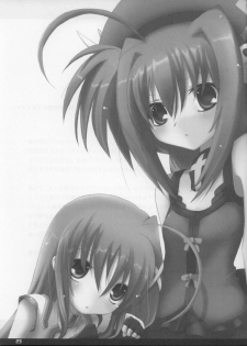(C70) [SSB (SSA)] Bardiche Adult 03 (Mahou Shoujo Lyrical Nanoha) - page 22