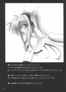 (C70) [SSB (SSA)] Bardiche Adult 03 (Mahou Shoujo Lyrical Nanoha) - page 20