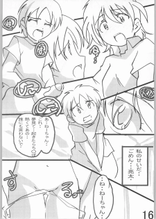 (SC24) [Tetsunari Doujou (Tetsunari)] suki kamo (Futari wa Precure) - page 15