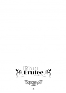 (C67) [DiGiEL (Yoshinaga Eikichi)] BlanBrulee (Futari wa Precure) - page 2