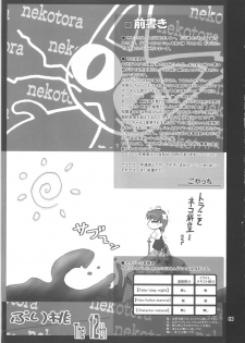 (COMIC1☆01) [PURIMONO (Goyac)] Nekotora -Nekoka no Oneesan wa Suki desu ka?- (Fate/hollow ataraxia) - page 2