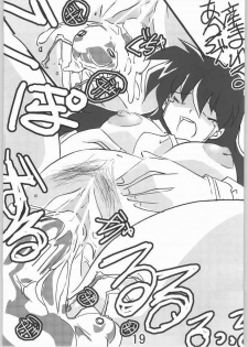 (SC23) [Tetsunari Doujou (Tetsunari)] Omedetai (Inuyasha) - page 17
