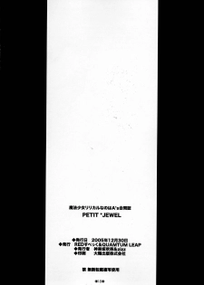 (C69) [Quantum Leap, RED spec (Kagurazaka Sakina, ZiZZ)] PETIT JEWEL (Mahou Shoujo Lyrical Nanoha) - page 17
