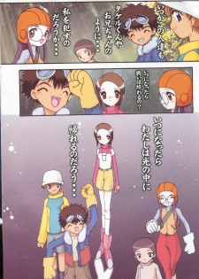 (C59) [Minor's Escort (Kazasuzu)] Hikari-chan To Issho (Digimon Adventure 02) - page 10