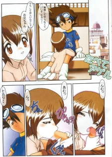 (C59) [Minor's Escort (Kazasuzu)] Hikari-chan To Issho (Digimon Adventure 02) - page 12