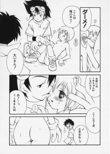 [Inomoto Rikako] Tototsu Desu (Digimon Adventure) - page 13