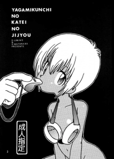[Bikkuri Gyouten (Umino Dozaemon, Watanabe Sumiko)] Yagamikunchi no Katei no Jijyou (Digimon Adventure) - page 3