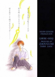 [Zaougumi (Zaou Taishi)] Lost Sheep (Neon Genesis Evangelion) - page 37
