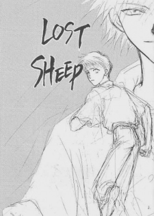 [Zaougumi (Zaou Taishi)] Lost Sheep (Neon Genesis Evangelion) - page 2