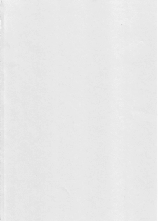 (C67) [Chuuka Mantou (Yagami Dai)] Mantou .25 (Neon Genesis Evangelion) - page 3