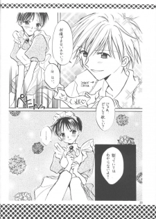 (C55) [Fairy Tale House (Phoenicia Masako)] Hasu Kriya (Neon Genesis Evangelion) - page 19