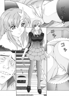 [SHIMEKIRI SANPUNMAE (Tukimi Daifuku)] Ryoujoku MEER (Mobile Suit Gundam SEED DESTINY) - page 4