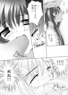 [Akiyama Production (Mikazuki Shikou)] Ayoru Joshou (Tenjou Tenge) - page 29