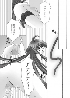 [Akiyama Production (Mikazuki Shikou)] Ayoru Joshou (Tenjou Tenge) - page 23