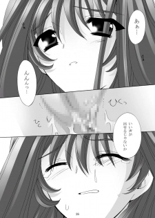 [Akiyama Production (Mikazuki Shikou)] Ayoru Joshou (Tenjou Tenge) - page 25