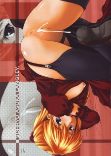 (C68) [Doujin Hoops, Eyes Of Dragon (Various)] Megamitachi No Kyuujitsu (Neon Genesis Evangelion) - page 16
