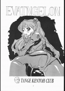 (CSP2) [Tange Kentou Club (Various)] EVATNGELON (Neon Genesis Evangelion) - page 2