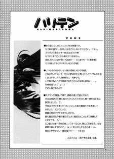 (CR35)[AKABEi SOFT (Alpha)] Harima & Tenma (School Rumble) - page 3