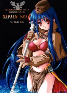 (CR31) [SION (Hotori)] NAPALM BEAT (Ragnarok Online) - page 1