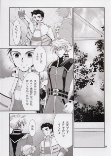 (C72) [AJALA (Mayamura Aki)] Irui For Adults (Super Robot Wars) - page 29